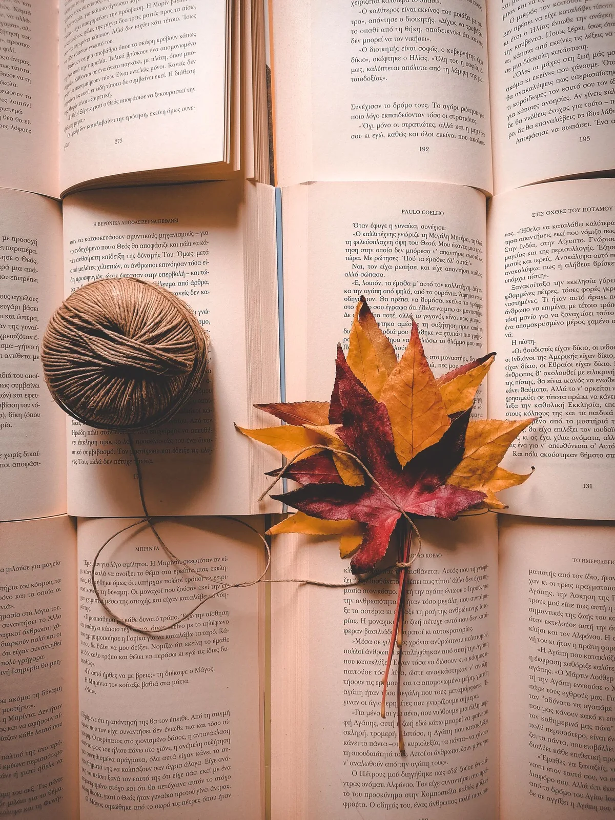 Feuilles d'érable séchées aux couleurs rouge et orange posées sur des livres ouverts, à côté d'une pelote de fil beige