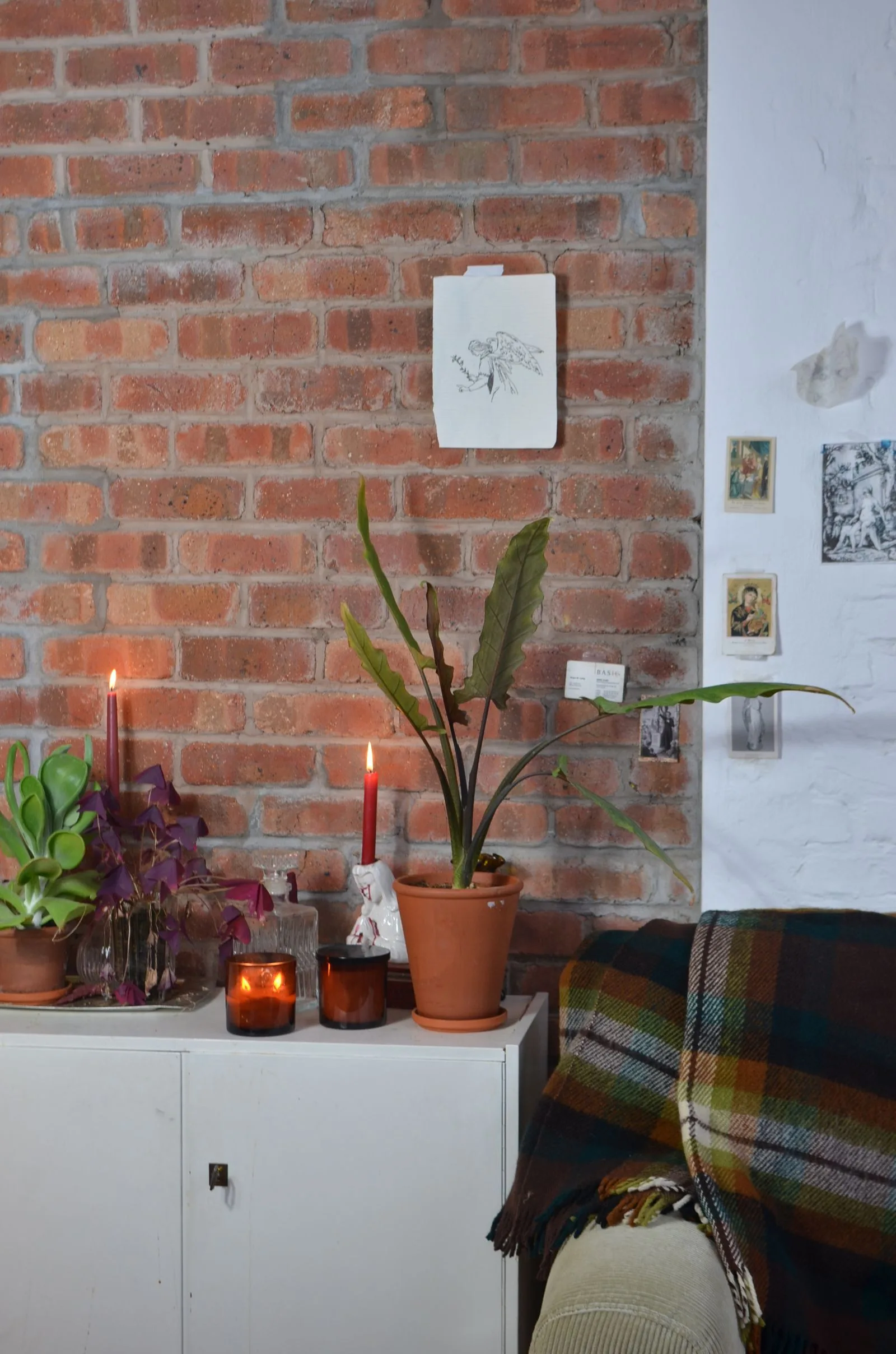 Intérieur avec mur en briques rouges, plantes vertes en pots, bougies et plaid en carreaux colorés sur fauteuil